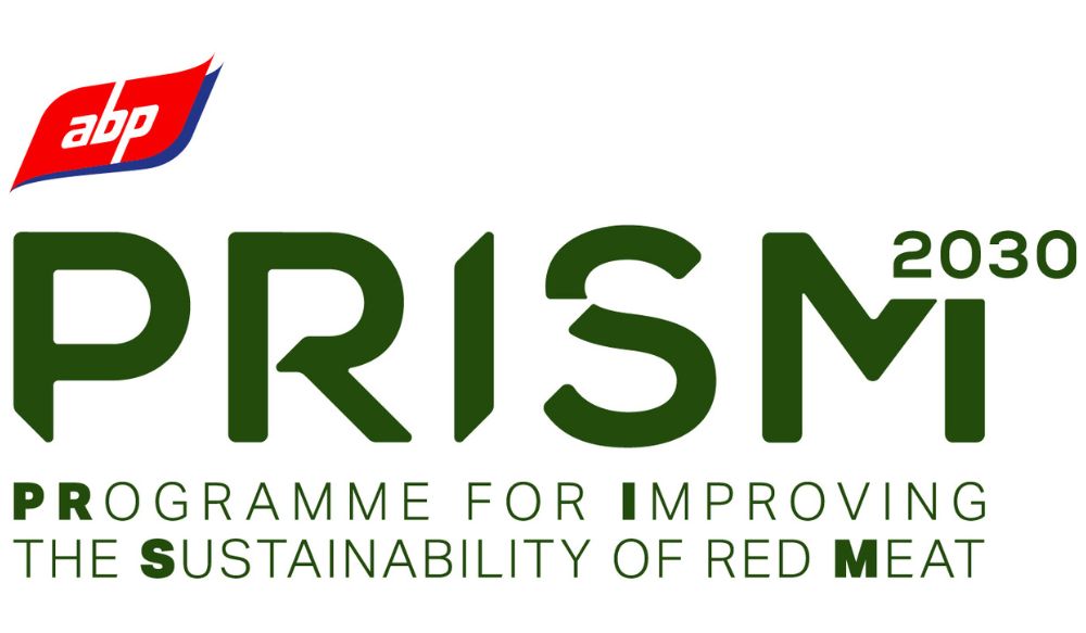 ABP PRISM 30 logo in dark green text